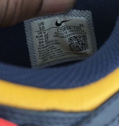 Off White Nike Dunk Michigan