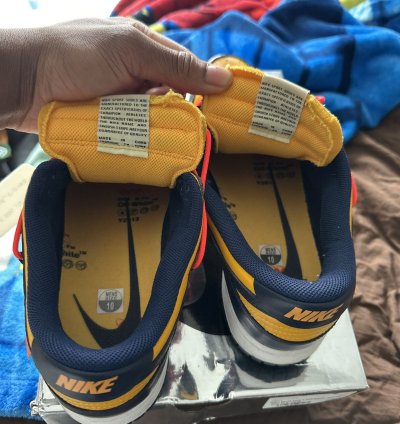 Off White Nike Dunk Michigan