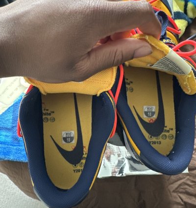 Off White Nike Dunk Michigan