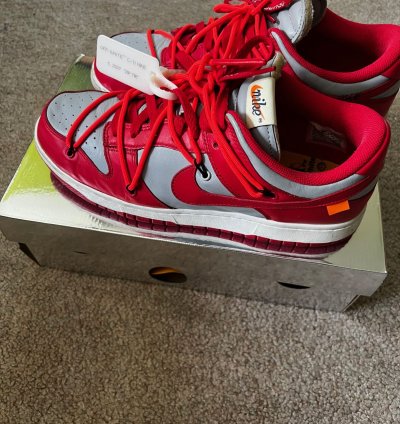 Off White Nike Dunks