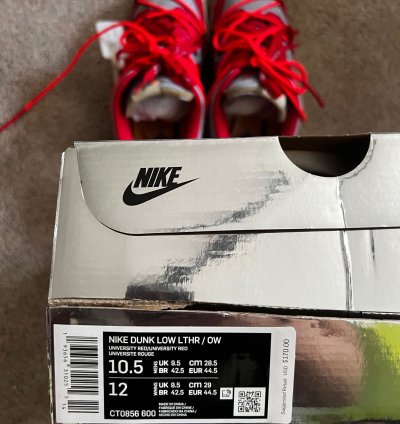 Off White Nike Dunks