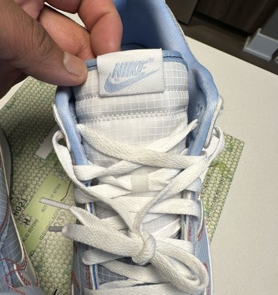Union Dunks Nike Dunk Low