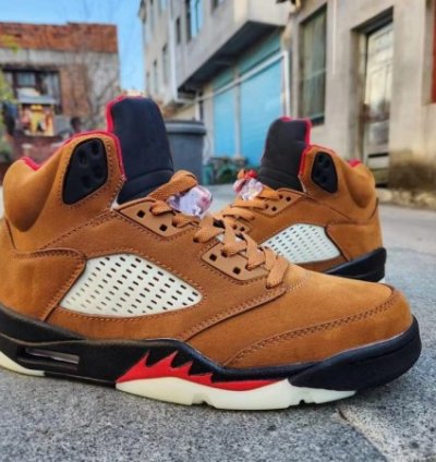 Nike Air Jordan 5 Archaeo Basketball Sneakers