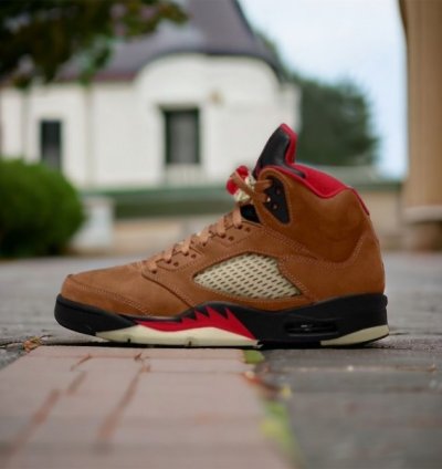 Nike Air Jordan 5 Archaeo Basketball Sneakers