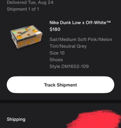 Off-white Nike Dunk Low - Lot 9