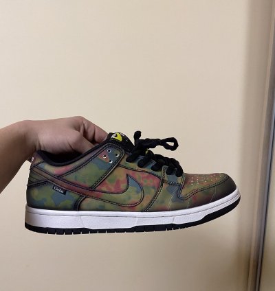 Rare Nike Dunk Civilist
