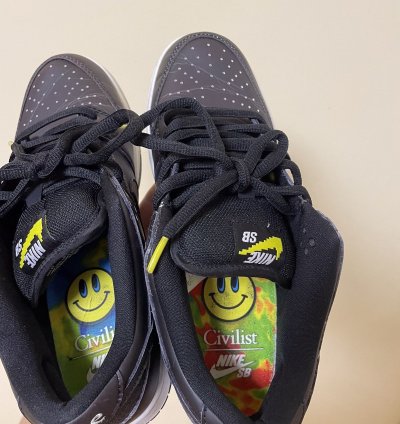 Rare Nike Dunk Civilist