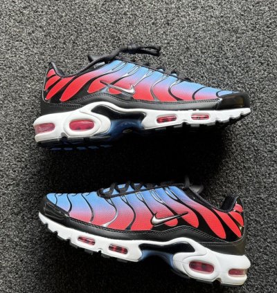 Us12 Slush Puppies Nike Air Max Plus Tn - Ds