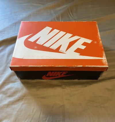 Size 10 Air Jordan 1 High Lost Found