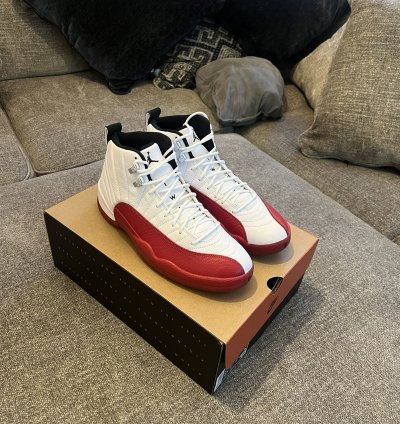 Air Jordan 12 Retro Cherry