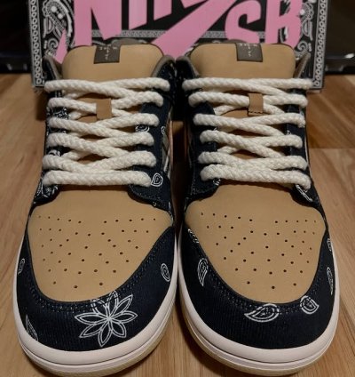 Travis Scott Nike Sb Dunk Low Cactus Jack