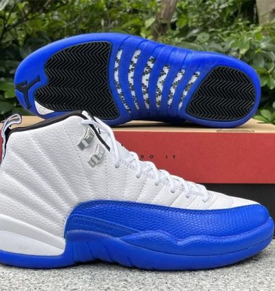 Air Jordan 12 Retro Blueberry