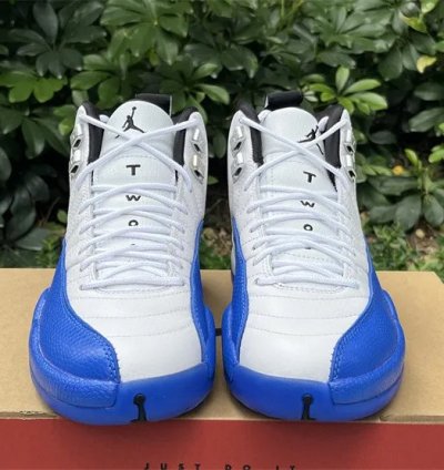Air Jordan 12 Retro Blueberry