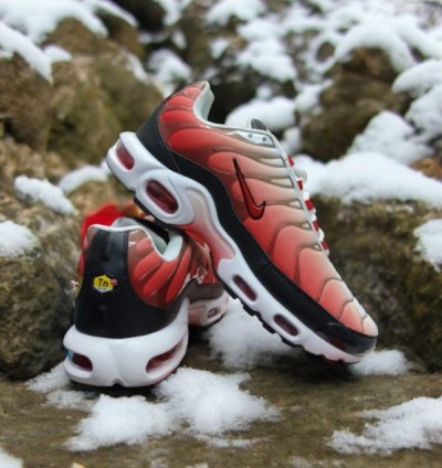 Nike Air Max Plus Fire Red Running Shoes
