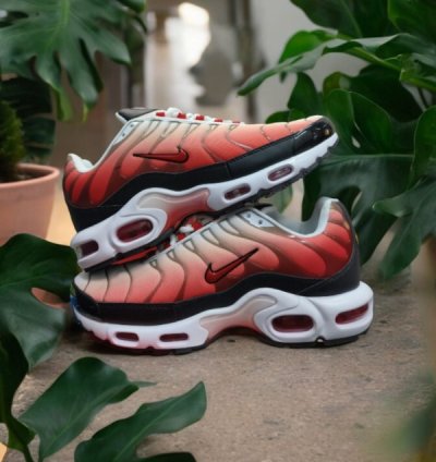 Nike Air Max Plus Fire Red Running Shoes