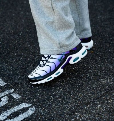 Nike Air Max Plus Reverse Grape Running Shoes