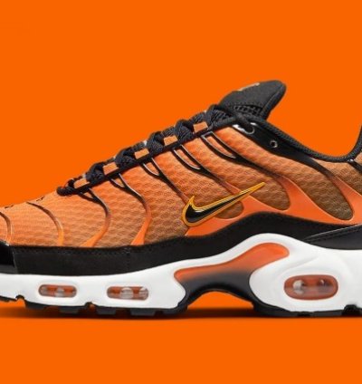 Nike Air Max Plus Sunset Running Shoes