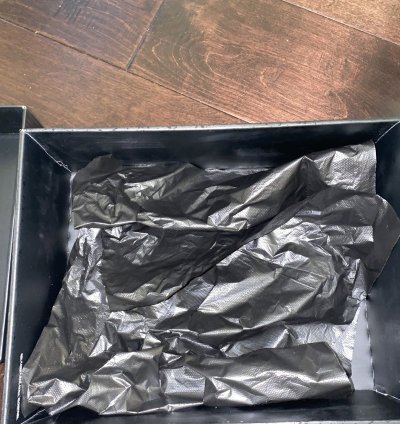 Air Jordan 4 Black Cat