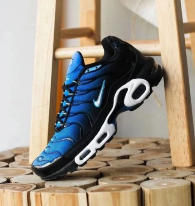 Nike Air Max Plus Tn Aquarius Blue Running Shoes