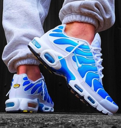 Nike Air Max Plus Tn Battle Blue Running Shoes
