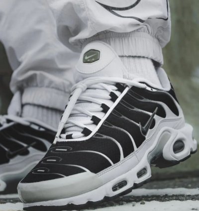Nike Air Max Plus Tn Killer Whale Running Shoes