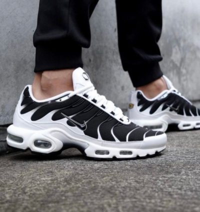 Nike Air Max Plus Tn Killer Whale Running Shoes