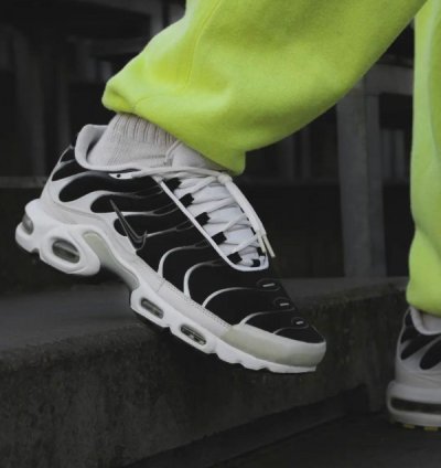 Nike Air Max Plus Tn Killer Whale Running Shoes