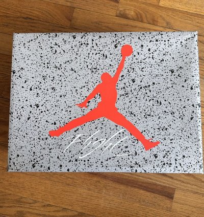 Air Jordan 4 Retro Bred Reimagined Size 11 5