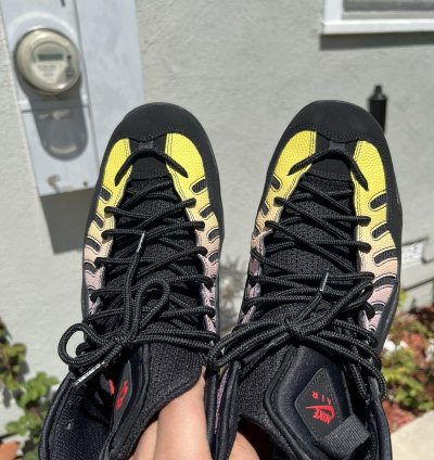 Supreme Nike Air Bakin Sp