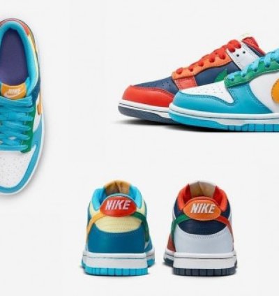 Nike Dunk Low Bg What The Multi Color Sneakres