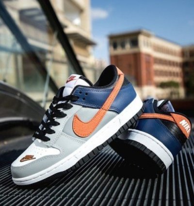 Nike Dunk Low Ekin White Neutral Grey Orange Sneakers