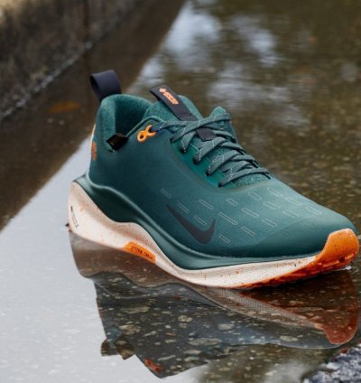 Nike Infinity Run 4 Gore Tex Green Running Shoes