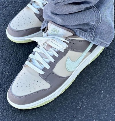 Nike Sb Dunk Low Velcro Tongue Sneakers