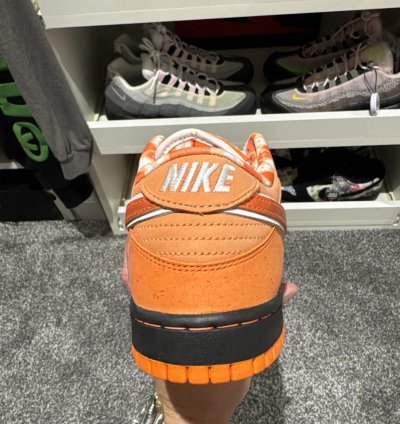 Nike Sb Dunk Low Concepts Orange Lobster