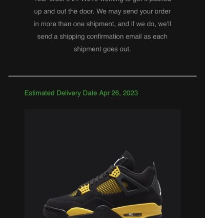 Air Jordan 4 Thunder