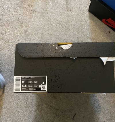 Air Jordan 4 Thunder 2023
