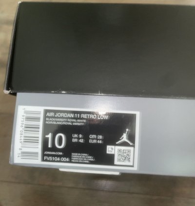 Jordan 11 Space Jam Low