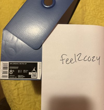 Jordan 3 Fragment