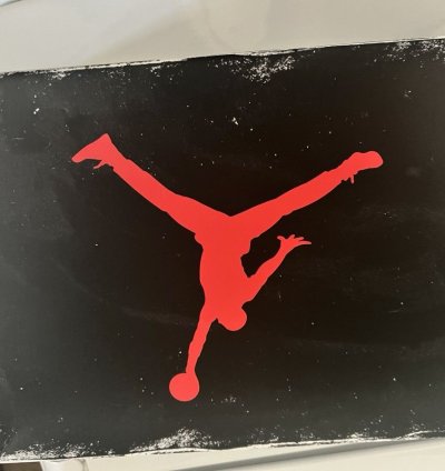 Jordan 3 Reimagined White Cement Sz10