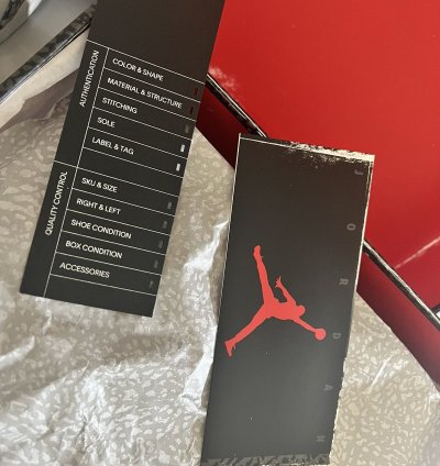 Jordan 3 Reimagined White Cement Sz10