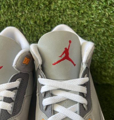 Jordan 3 Retro Cool Grey