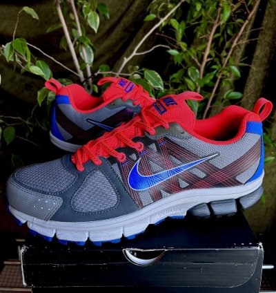Vintage Nike Air Pegasus 28 Trail