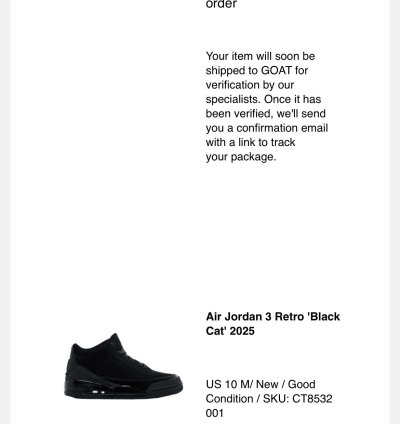 Air Jordan 3 Black Cat Sz 10