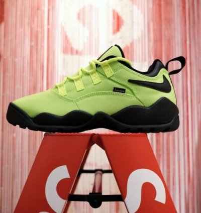 Suprem E X Nik E Sb Air Darwin Low Volt Sneakers