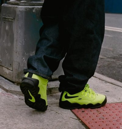 Suprem E X Nik E Sb Air Darwin Low Volt Sneakers