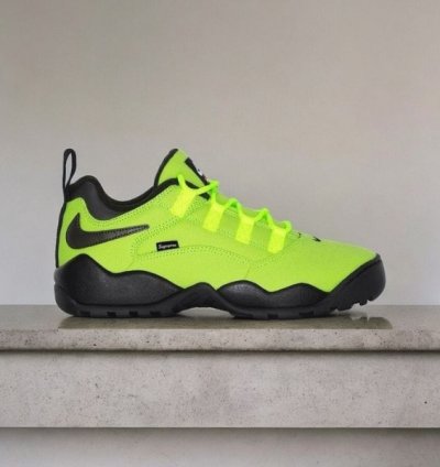 Suprem E X Nik E Sb Air Darwin Low Volt Sneakers