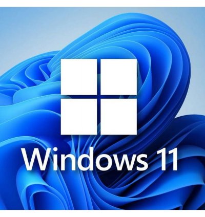 Microsoft Windows 11 Professional Retail Key