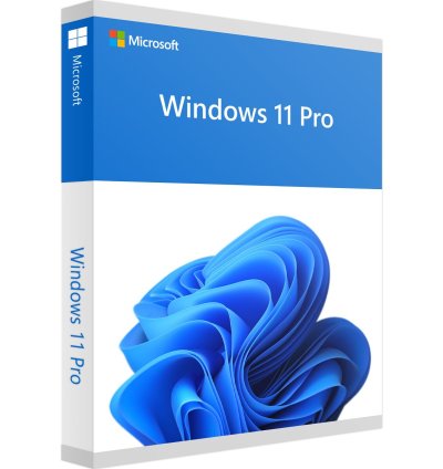 Microsoft Windows 11 Professional Retail Key