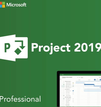 Microsoft Project 2019 Professional