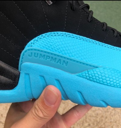 Nike Air Jordan 12 Gamma Blue